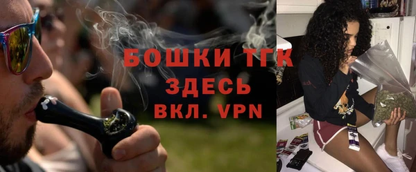 твердый Арсеньев