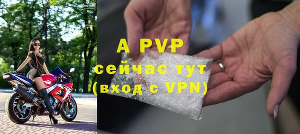 твердый Арсеньев
