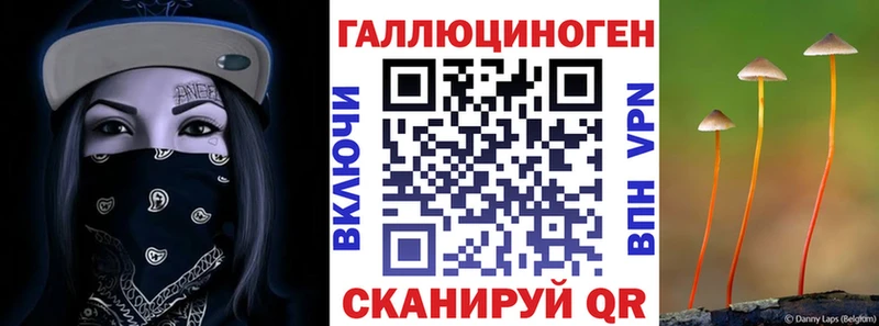 цены   Ветлуга  Галлюциногенные грибы мухоморы 